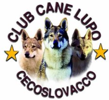 CCLC - Club Cane Lupo Cecoslovacco Italia