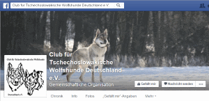 Club für Tschechoslowakische Wolfshunde Deutschland e.V.