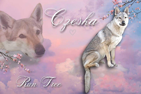 Czeska van 't Aelse Sluske