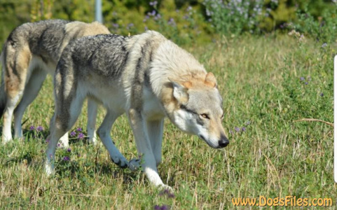 E'Una di Maggio Italia