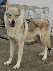 E'Una di Maggio Italia