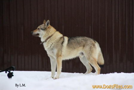 Taabernakkelin Pantheon