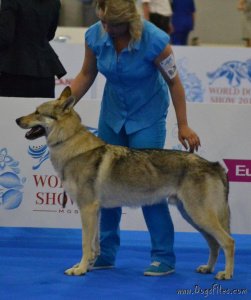 Bady od Našej vlčice