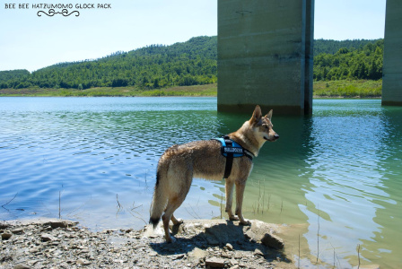 Bee Bee Hatzumomo G'pack