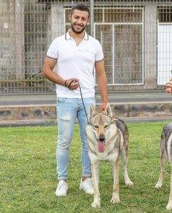 Derek Salto del Lupo