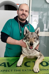 Gordon Salto del Lupo