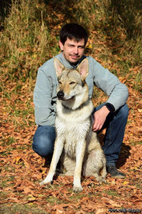 Faaria Wolfdog Bohemia