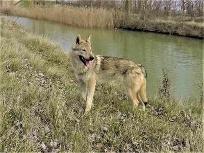  Inhala de Campos y Lobos