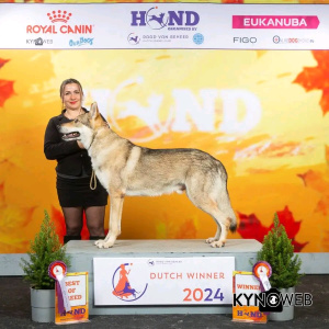 Cézar z Dubničanky