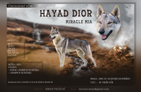 Hayad Dior Miracle Mia