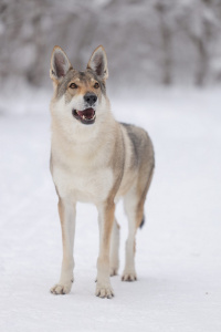 Alfresko Life I Am Milka