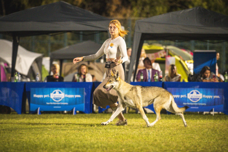 Bezinka Strážce Šumavy