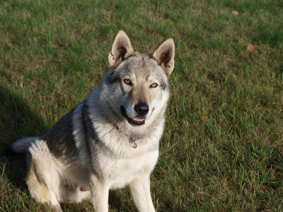 Our Morthy z Molu Es