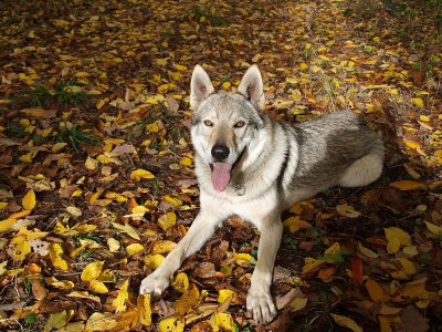 Our Morthy z Molu Es