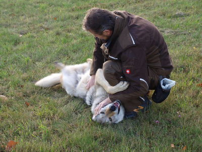 Our Morthy z Molu Es