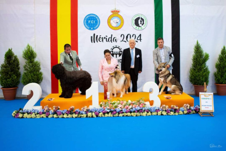 Pohádkový Rumburak Unter Wölfen