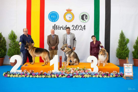 Pohádkový Rumburak Unter Wölfen