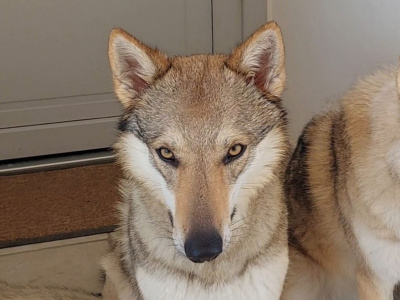 All Hell Breaks Loose