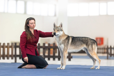 Farenheit Old GreyGun