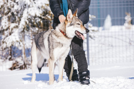Katsymi Bright Rainbow Light