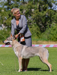 Katsymi Bright Rainbow Light