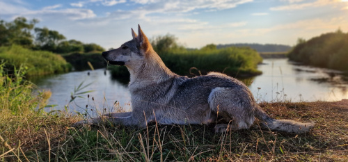 Morro Jurajska Ostoja Wilka