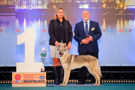 Crazy Boy ColThem Wolfs