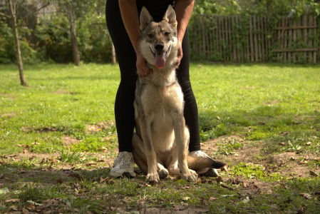 Kamennaya gora Yanini