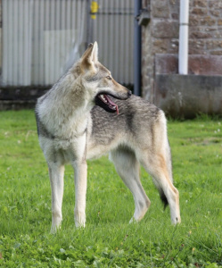 Aerith du Domaine de Ragnarok