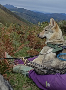 Arya du Domaine de Ragnarok