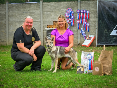 Dream of Mine ColThem Wolfs