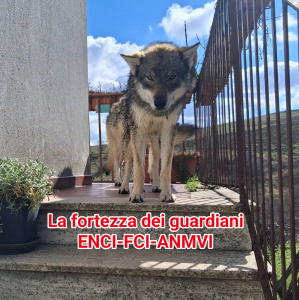 Eraclea La fortezza dei guardiani