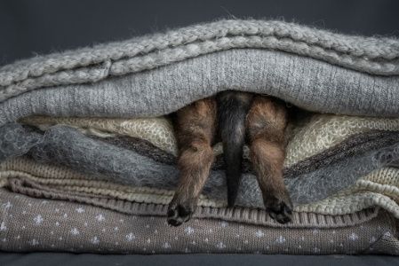 Severnaya Sonata Oktaviya Fjord